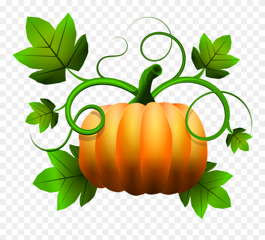 Pumpkin Clipart