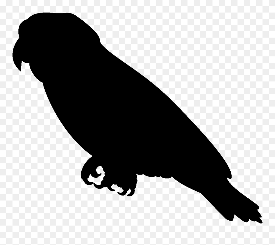 Bird Cockatiel Cockatoo Silhouette Clip Art - Parrot Silhouette - Png Download