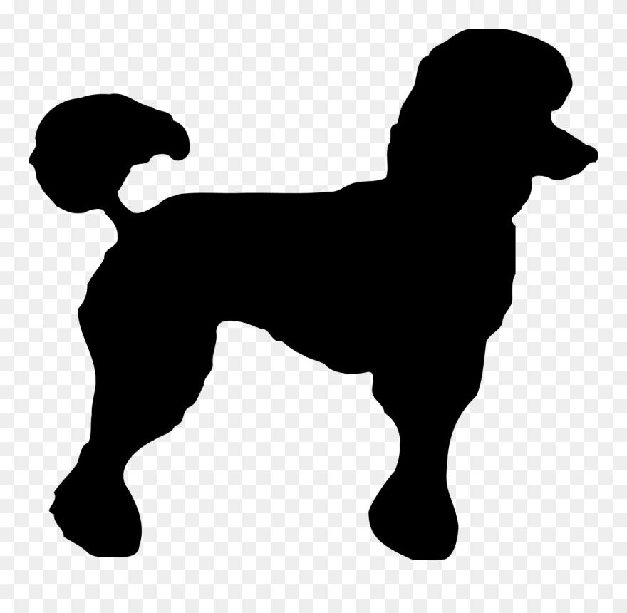Poodle Village Groomer Clip Art - Transparent Poodle Silhouette - Png Download