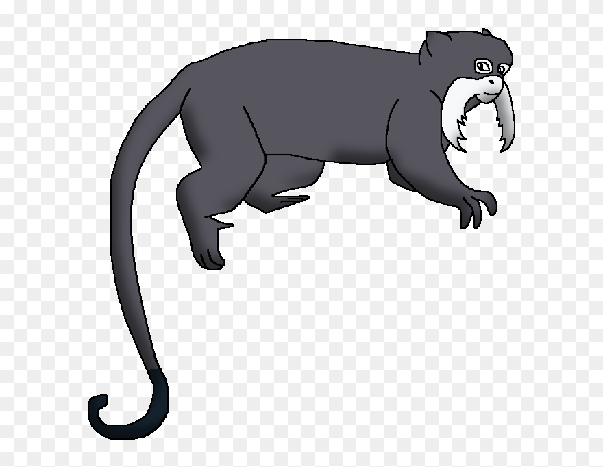 Wildlife Animal Pedia Wiki - Emperor Tamarin Body Parts Clipart