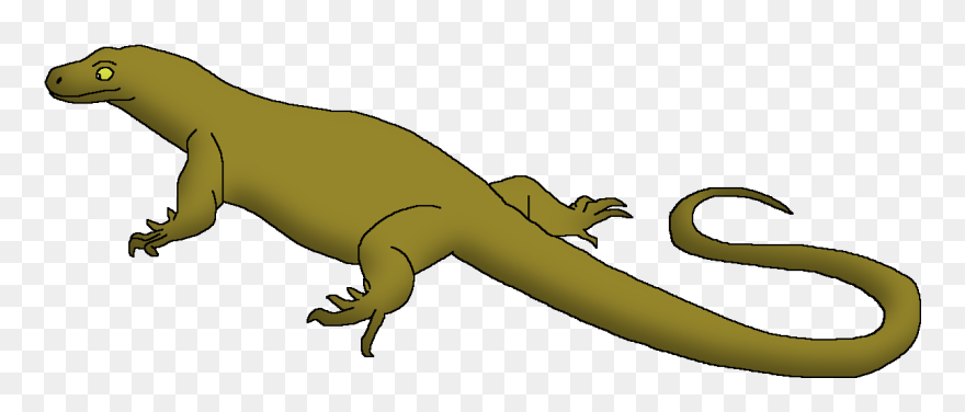 Wildlife Animal Pedia Wiki - American Crocodile Clipart