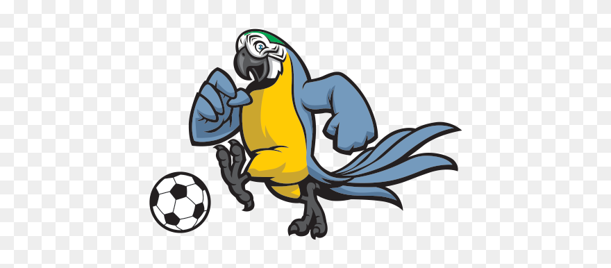Parrot Clipart Soccer - Macaw - Png Download