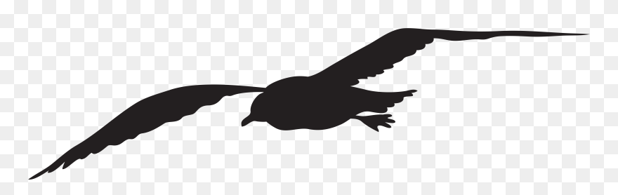 Seagull Clipart High Resolution - Seagull Silhouette Png Transparent Png