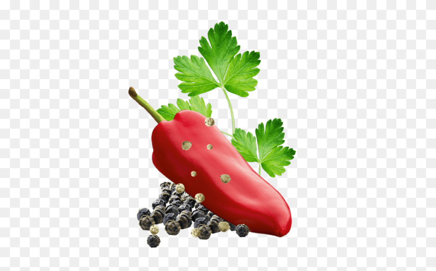 Natural Foods Clipart