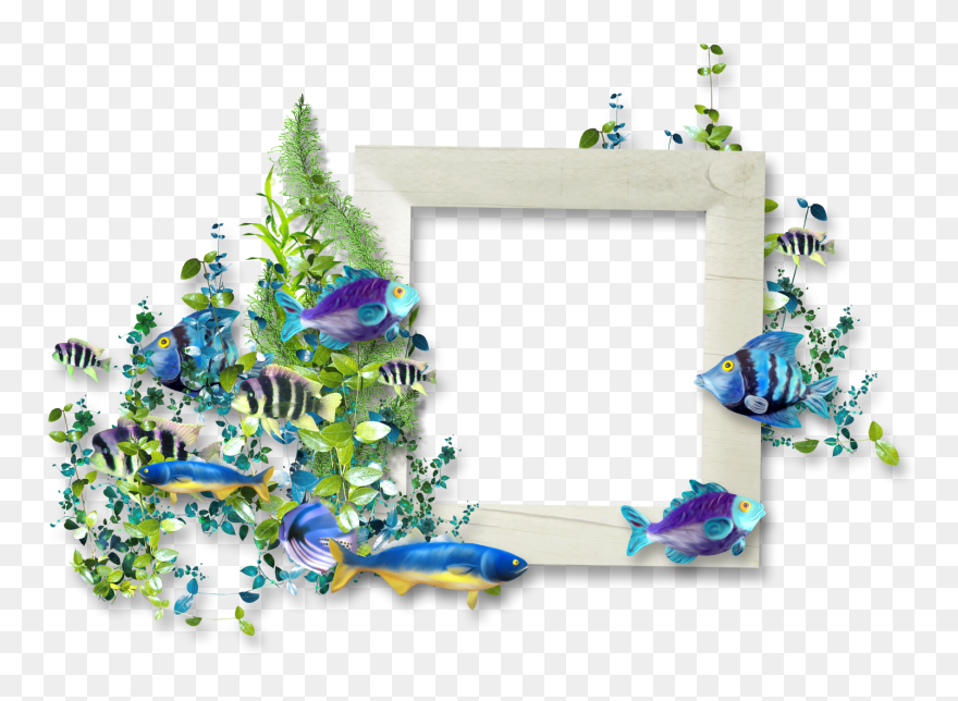 Frame Png Fish Clipart