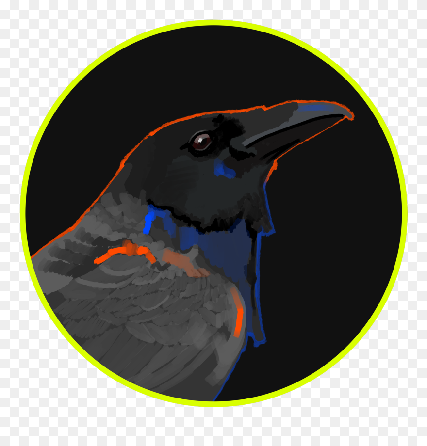 American Crow Clipart