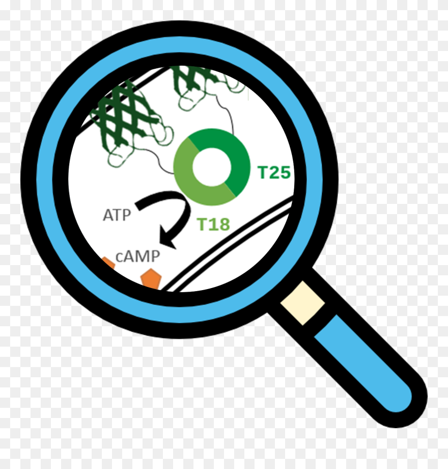 Bacth Part - Transparent Research Gif Clipart