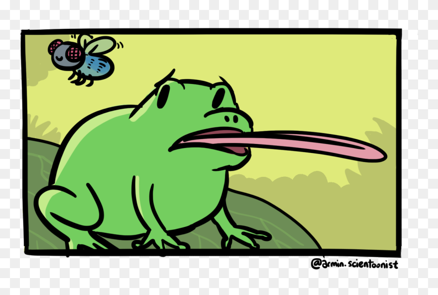 Clip Art - Png Download