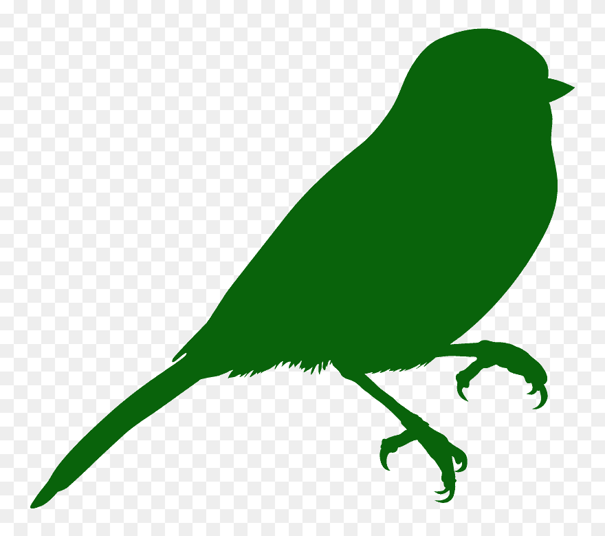 Transparent Chickadee Clip Art - Old World Flycatcher - Png Download