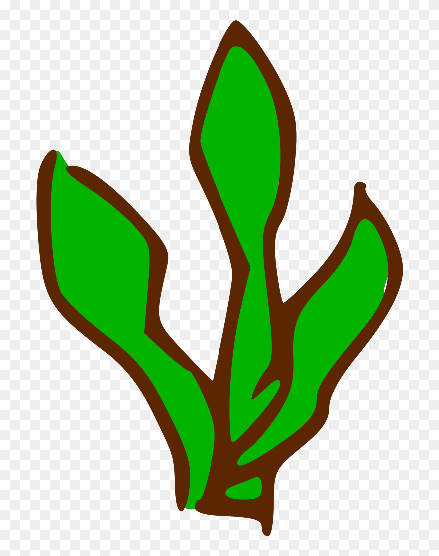Kelp Clipart - Png Download
