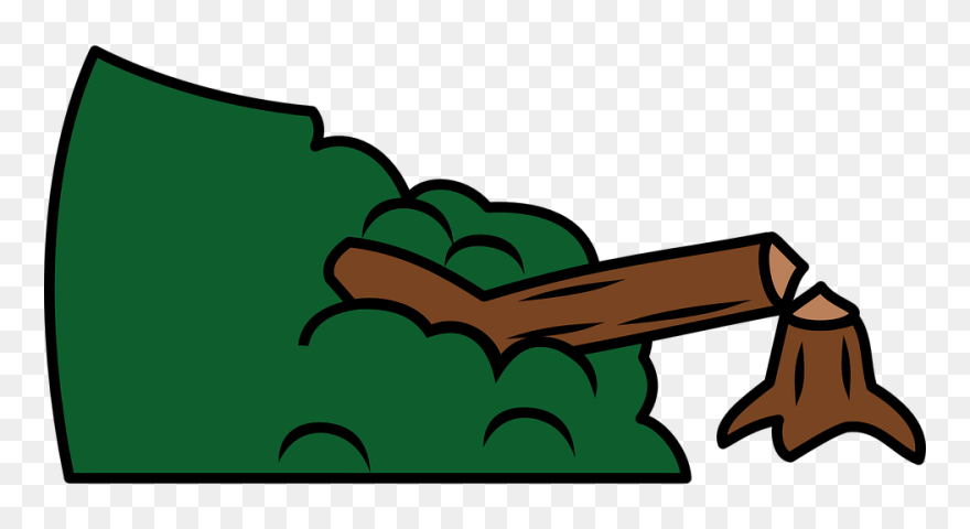 Transparent Deforestation Png - Broken Tree Clipart