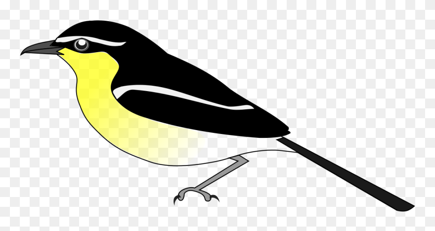 Chickadee Vector Svg - Shimbir Arts Clipart