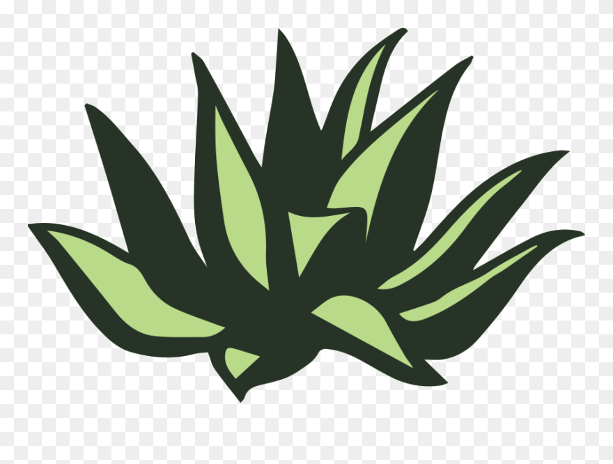 Aloe Clipart