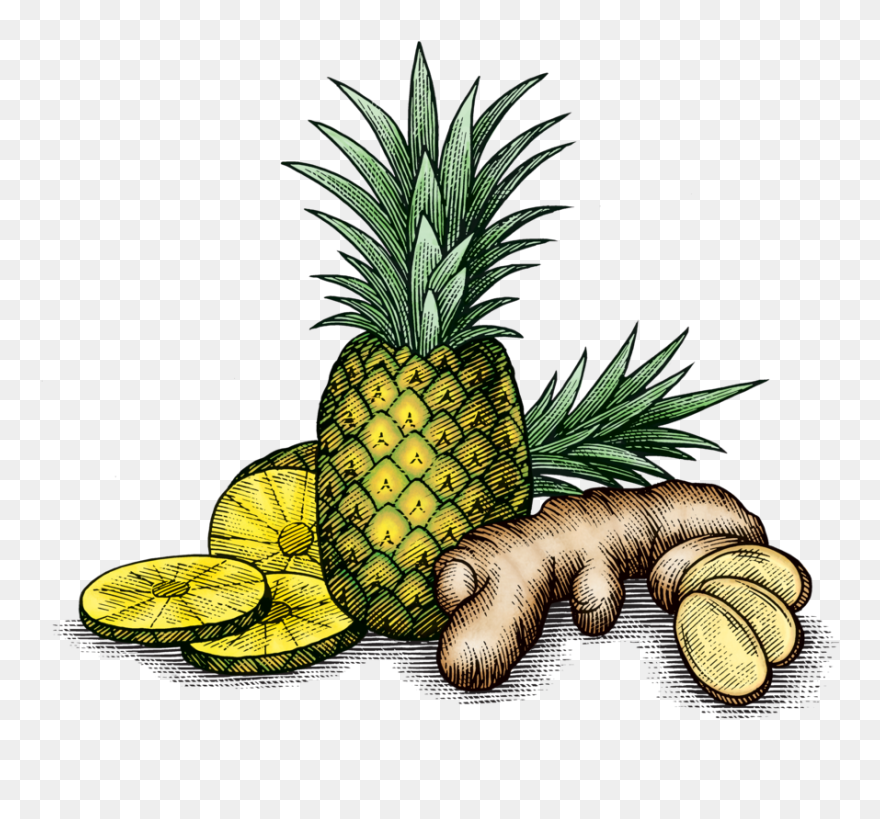 Pinagingerroot - Pineapple And Ginger Png Clipart