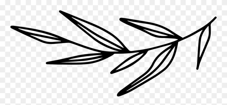 Floral Clipart 12 - Png Download