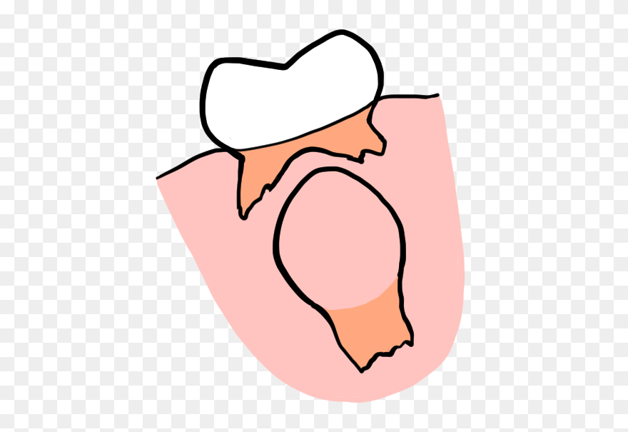 Clip Art - Png Download