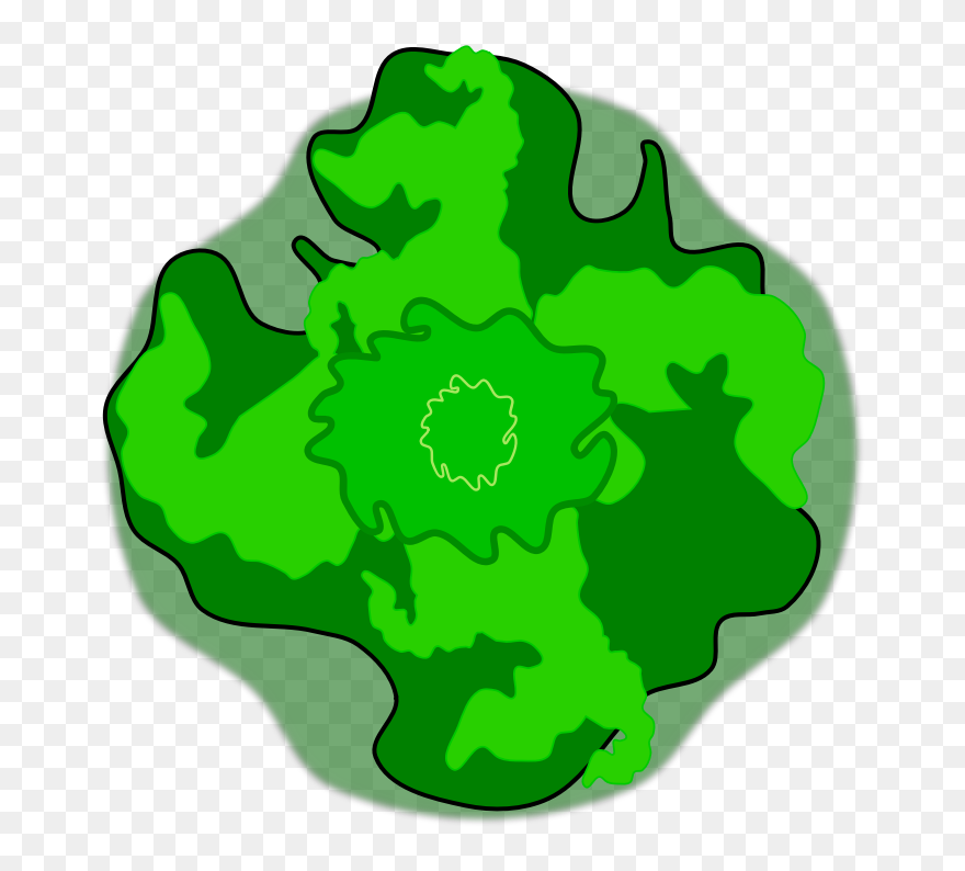 Tree-03 - Clip Art - Png Download