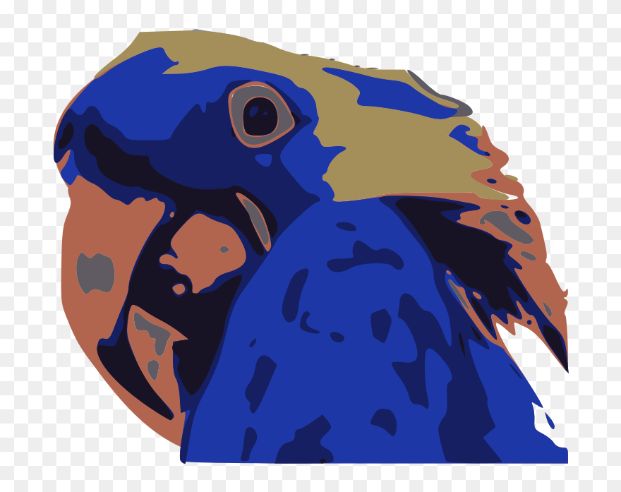 Blue Macaw Clip Arts - Cartoon - Png Download