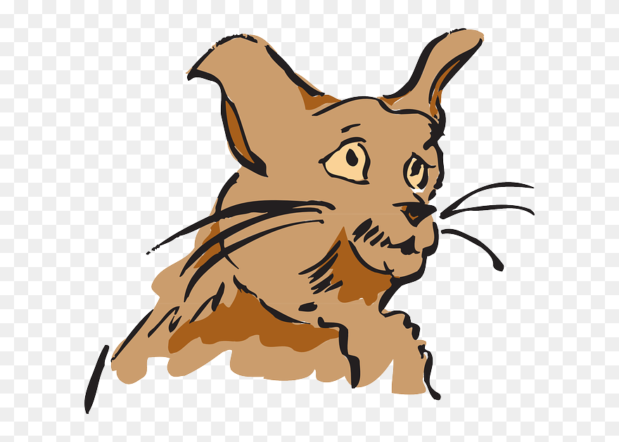 Cat, Brown, Side, Looking, Sad, The, Fur, Whiskers - Scaredy Cat Idiom Clipart