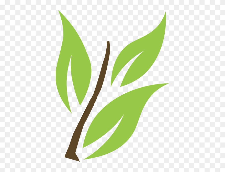 Clip Art - Png Download