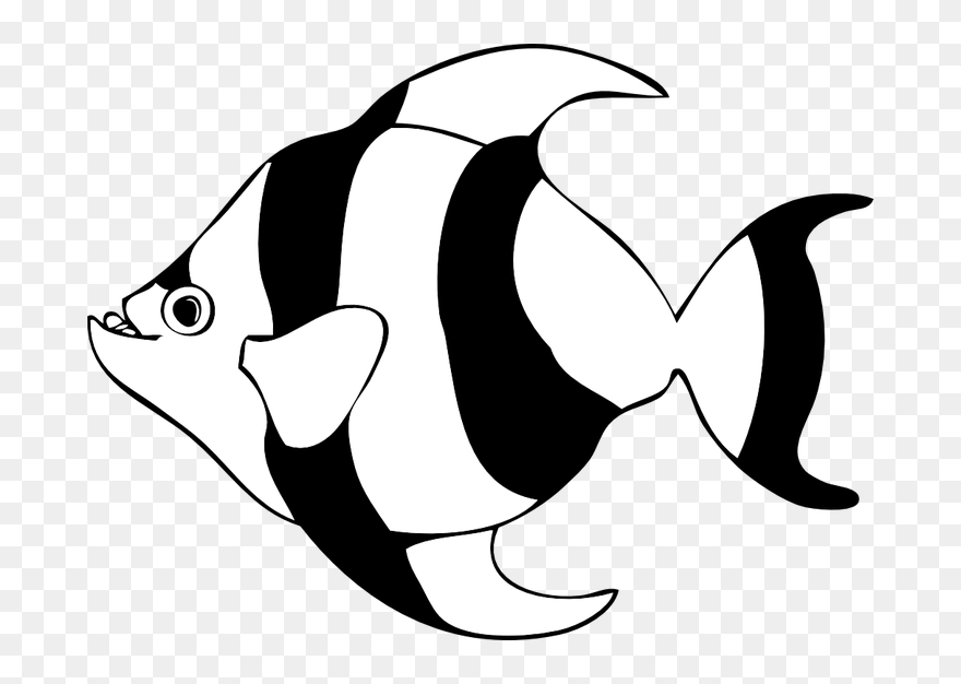 Tuna Clipart Black And White - Fish Clipart Black And White - Png Download
