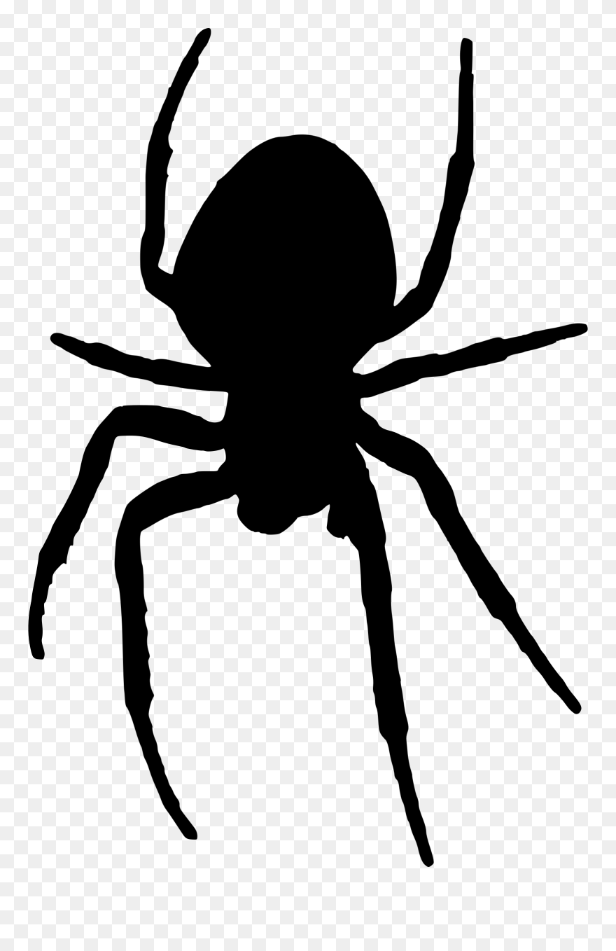 Composite Spider - Spider Silhouette Transparent Clipart