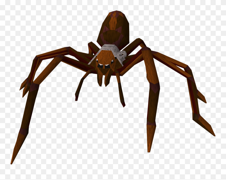 Tarantula Clipart Large Spider - Big Spider Png Transparent Png