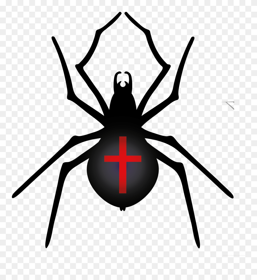 Library Of Cute Halloween Spider Svg Transparent Library - Clip Art Spider Halloween - Png Download