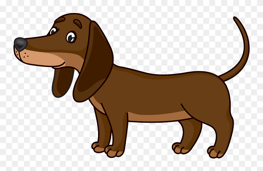 Dachshund Clipart - Png Download
