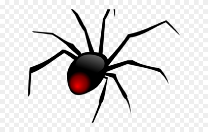 Transparent Backyard Clipart - Spider Clipart Transparent Background - Png Download