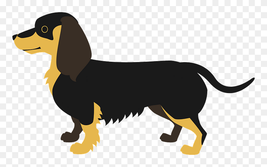 Dachshund Dog Animal Clipart - ダックス フンド 横向き イラスト - Png Download