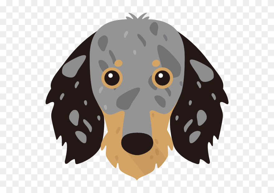 Irish Red And White Setter Nose Clipart