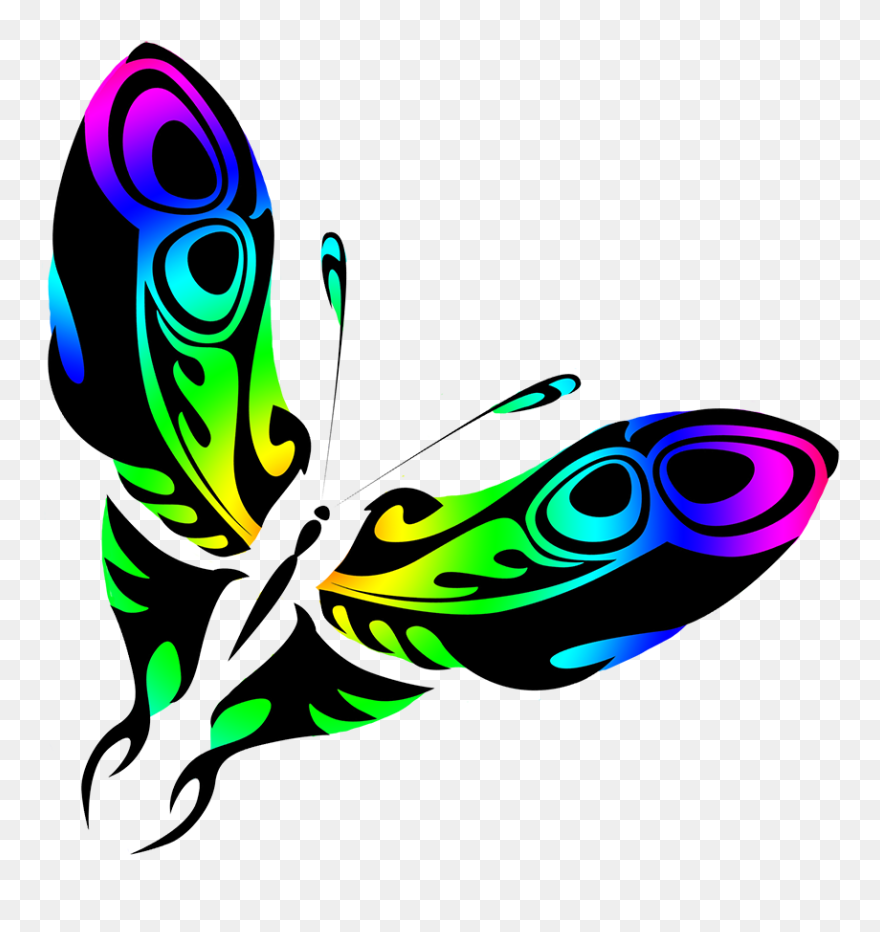 Rainbow Colored Butterfly Drawing - Graphic Design Clipart
