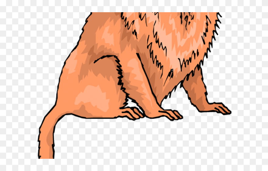 Golden Lion Tamarin Clipart - Png Download