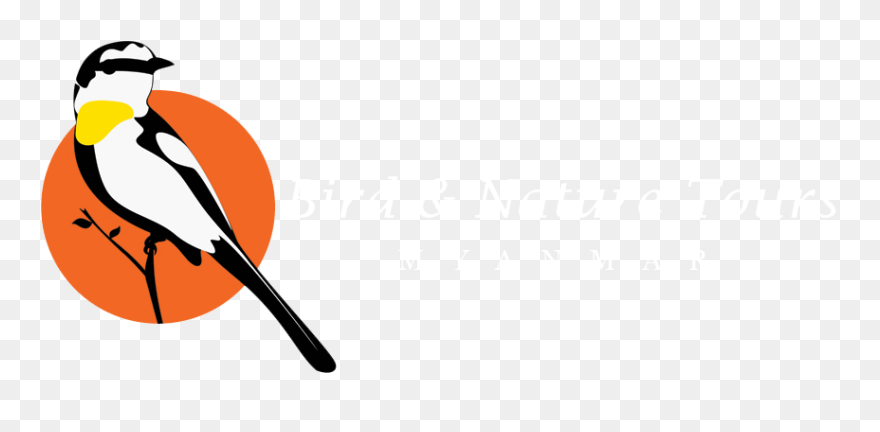 Illustration Clipart