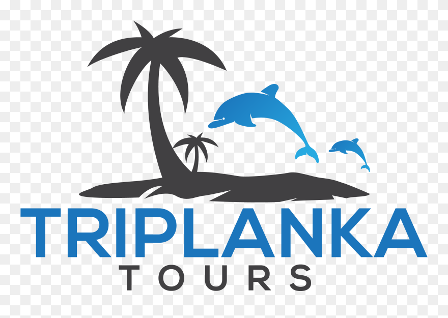 Illustration Clipart