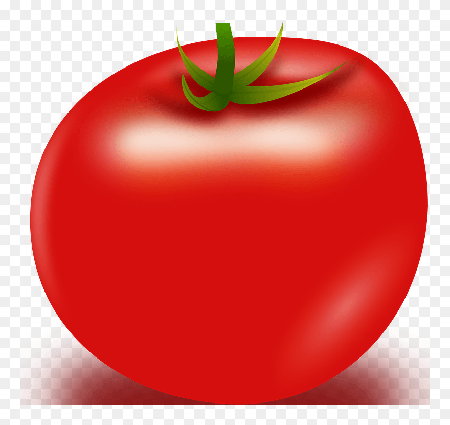 Vector Tomato Clipart - Tomato Png Transparent Png