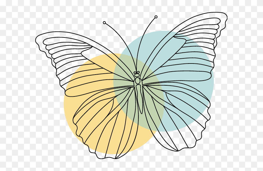 Clip Art - Png Download