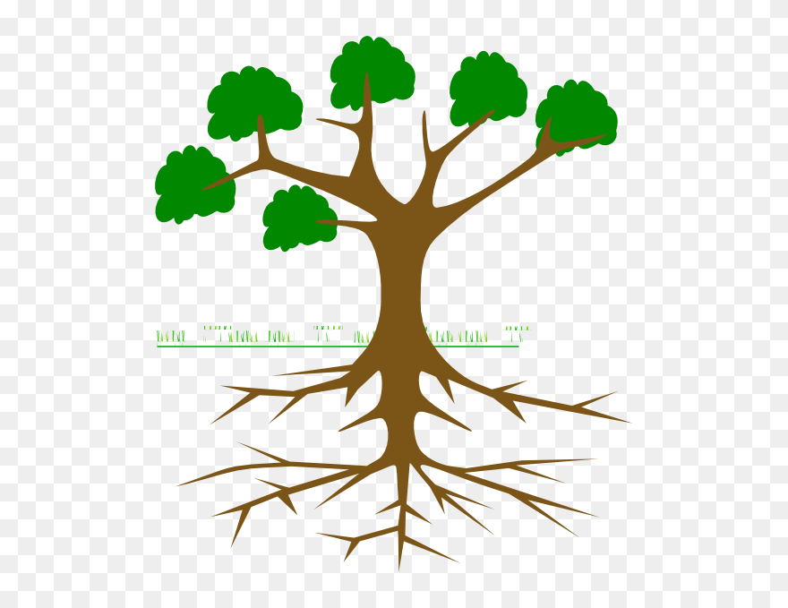 Clip Art Nature Photos - Tree Clipart With Roots - Png Download
