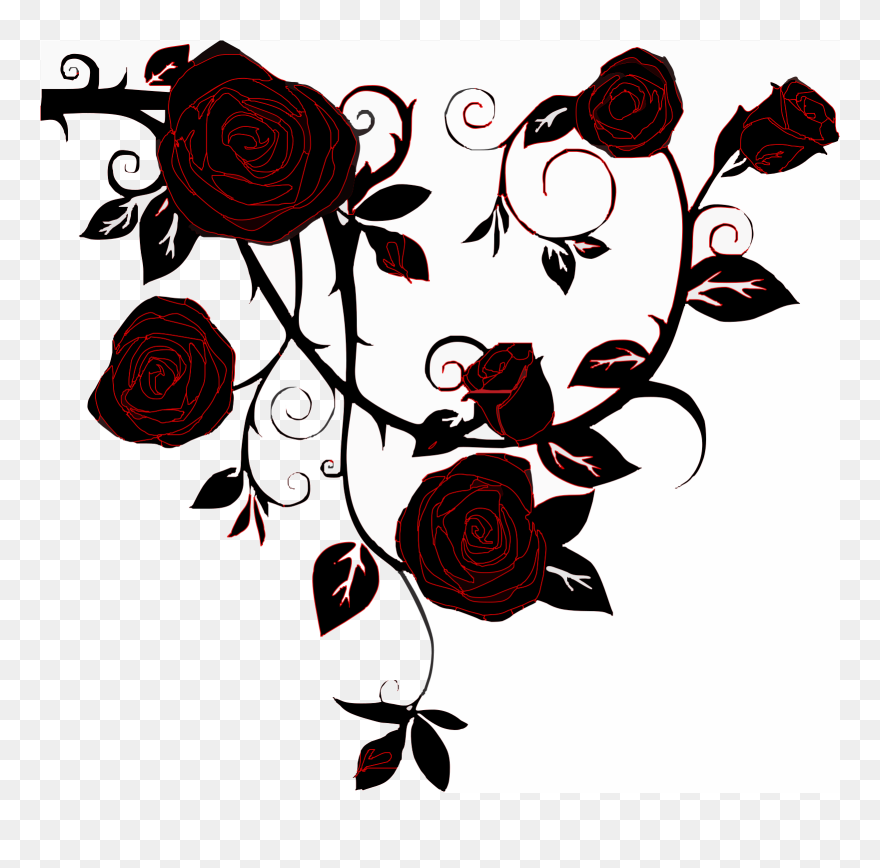 Il N Y A Pas De Rose Sans Épines Clipart