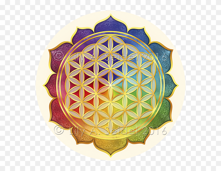 Sacred Geometry Overlapping Circles Grid Nelumbo Nucifera - Sacred Geometry Transparent Background Clipart