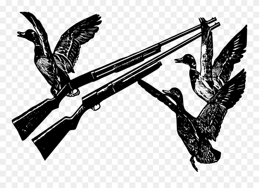 Plant,falconiformes,bird Clipart