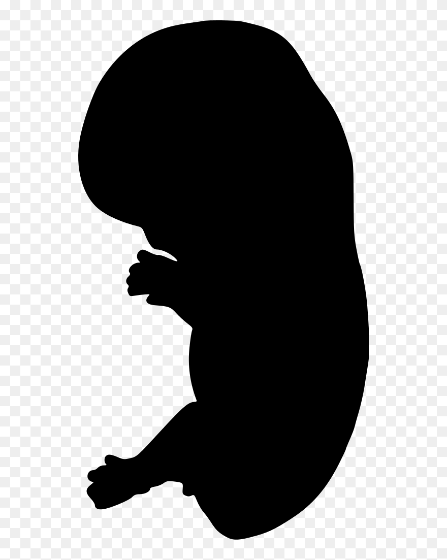 Embryo Silhouette Clip Art - Embryo Silhouette Png Transparent Png