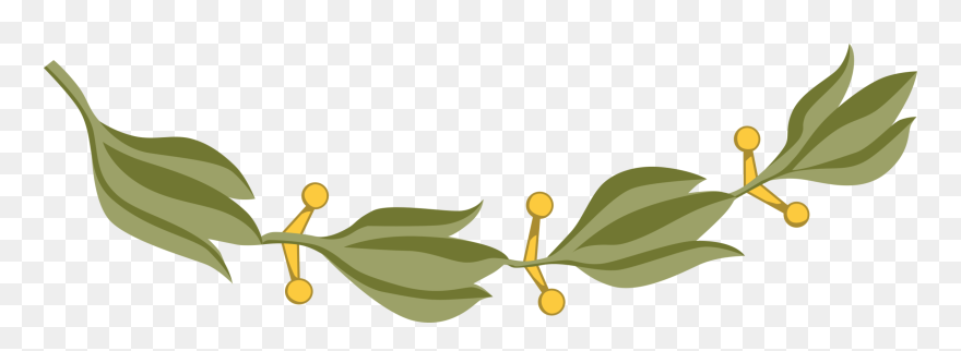 Plant,flora,leaf - Laurel Branch Mexico Clipart