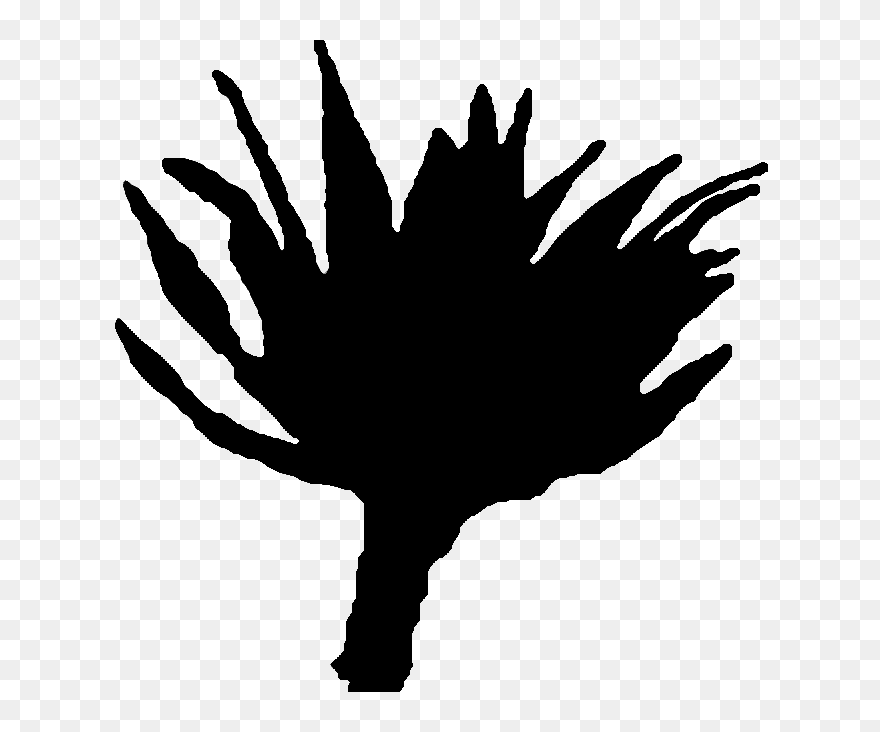 Illustration Clipart