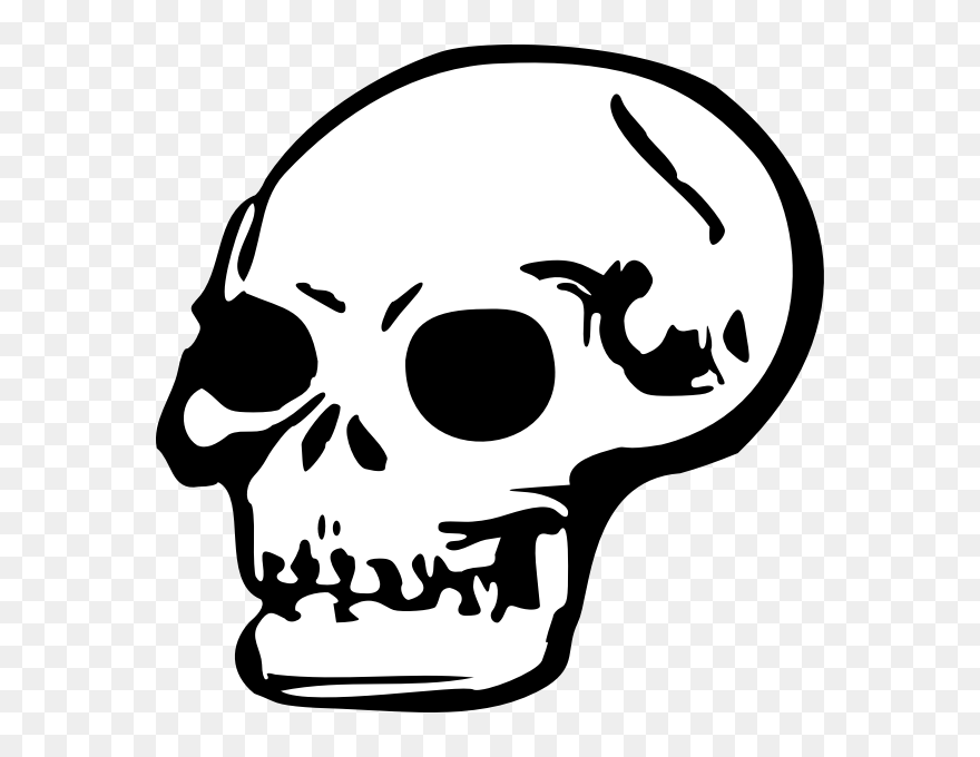 Skull - Human Skull Clip Art - Png Download
