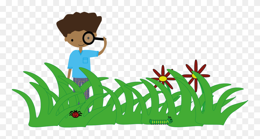 Clip Art - Png Download