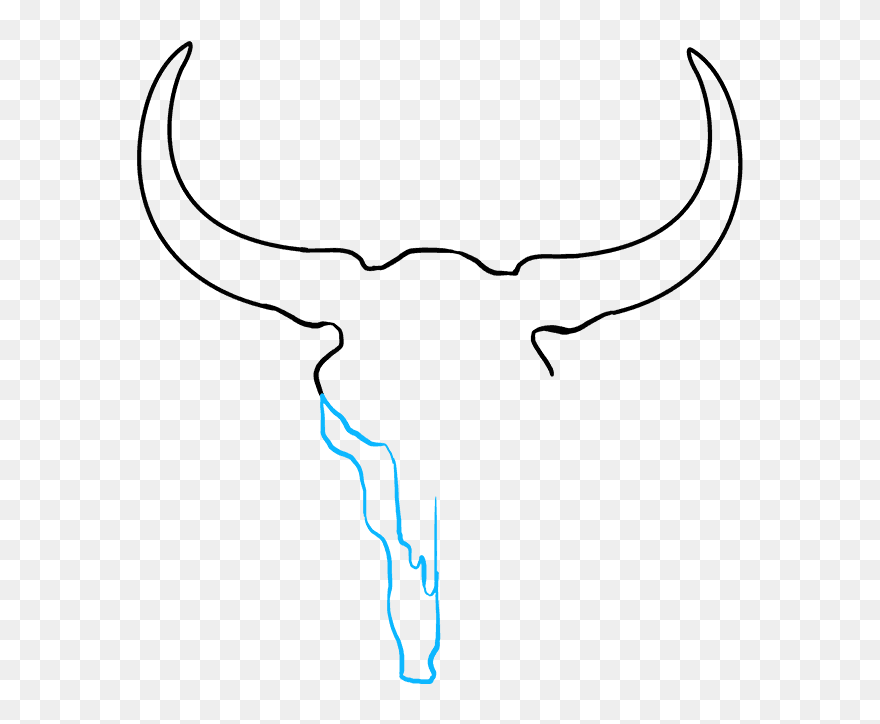 How To Draw Bull Skull - Draw A Cow Skull Clipart