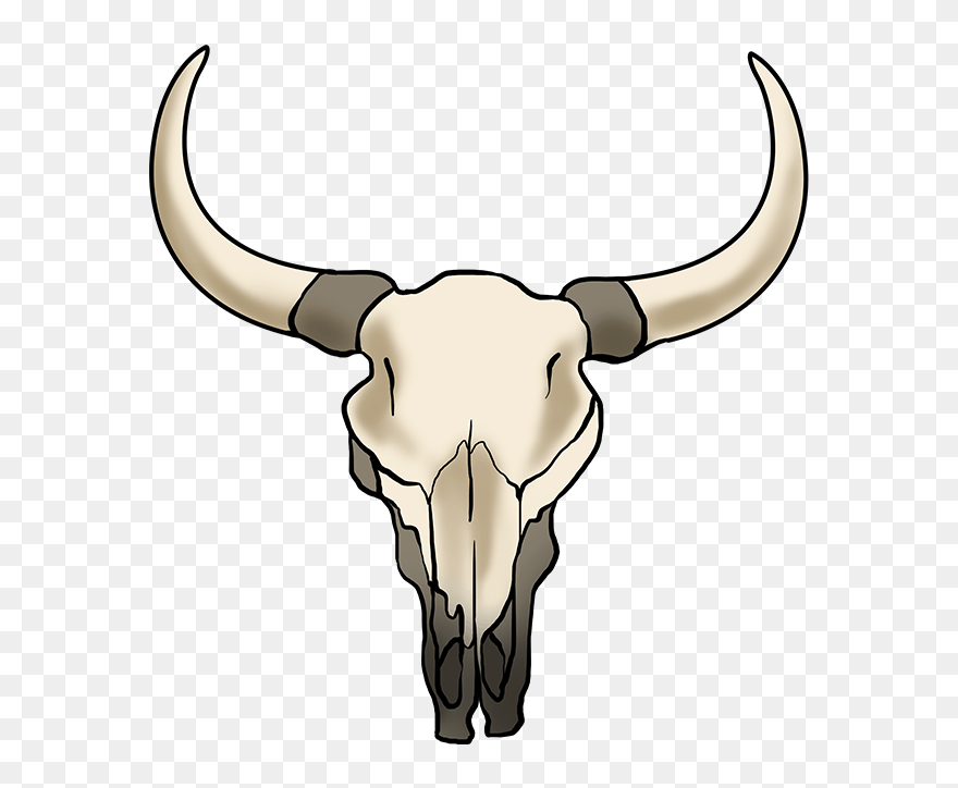 How To Draw Bull Skull - Cow Skull Drawing Easy Clipart