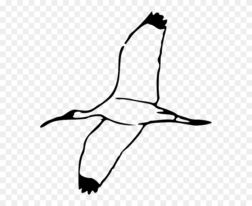 Drawing, Bird, Wing, Fly, Flying, Book, Wood, Wings - Bird Flying Clipart Black And White - Png Download